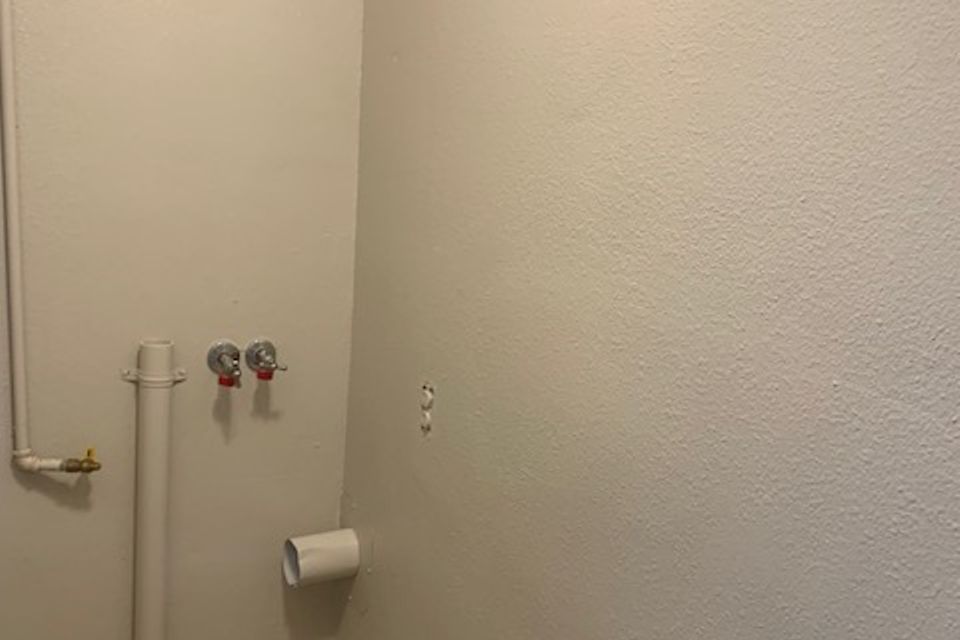 Img 2874