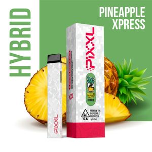 2884965 pineapple xpress product image 03