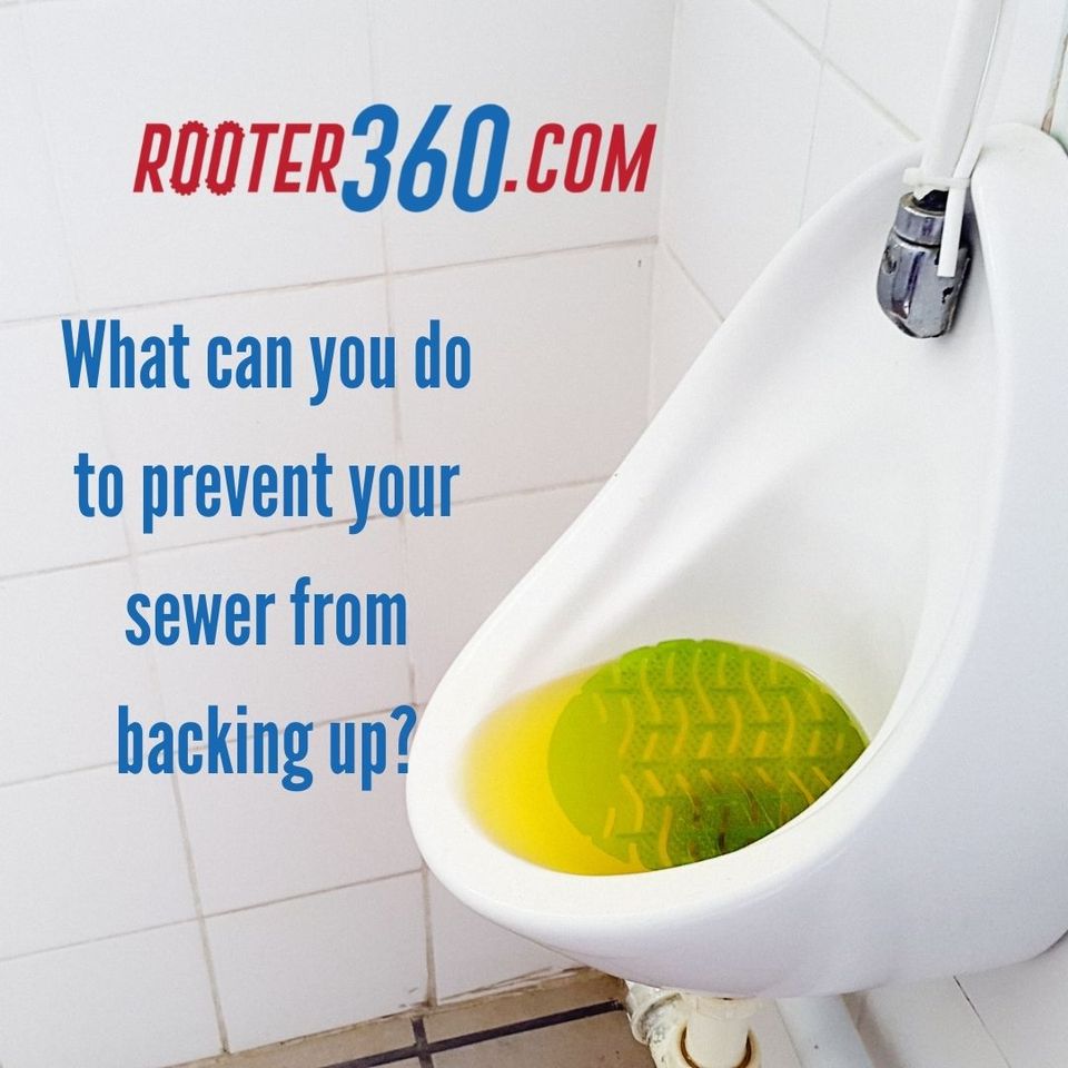 Rooter360.what can you do to prevent your sewer from backing up