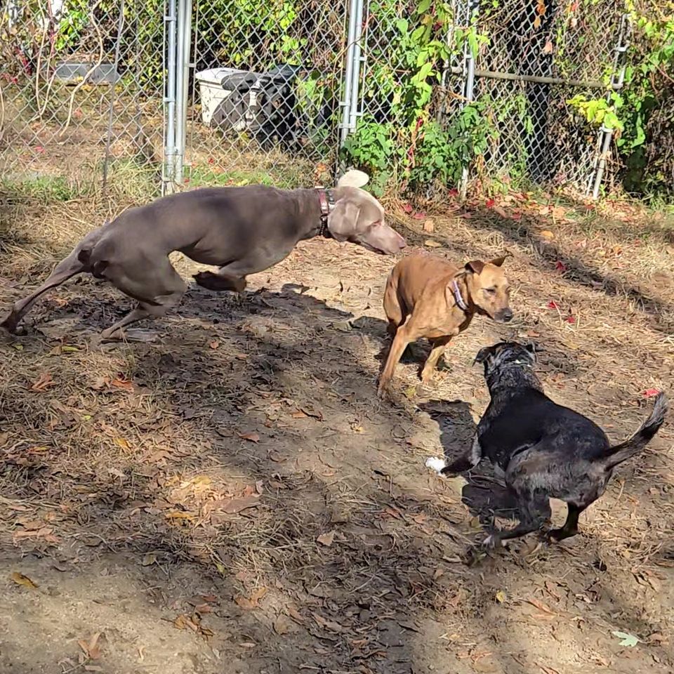 20251028 125339 exported 20213