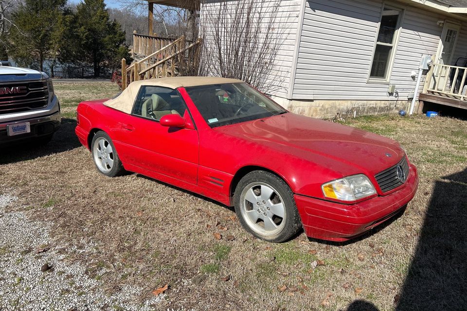 Mercedez hazel green