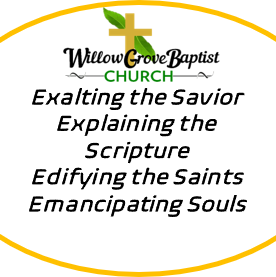 231198506 4349972345064114 7472695439082338169 n