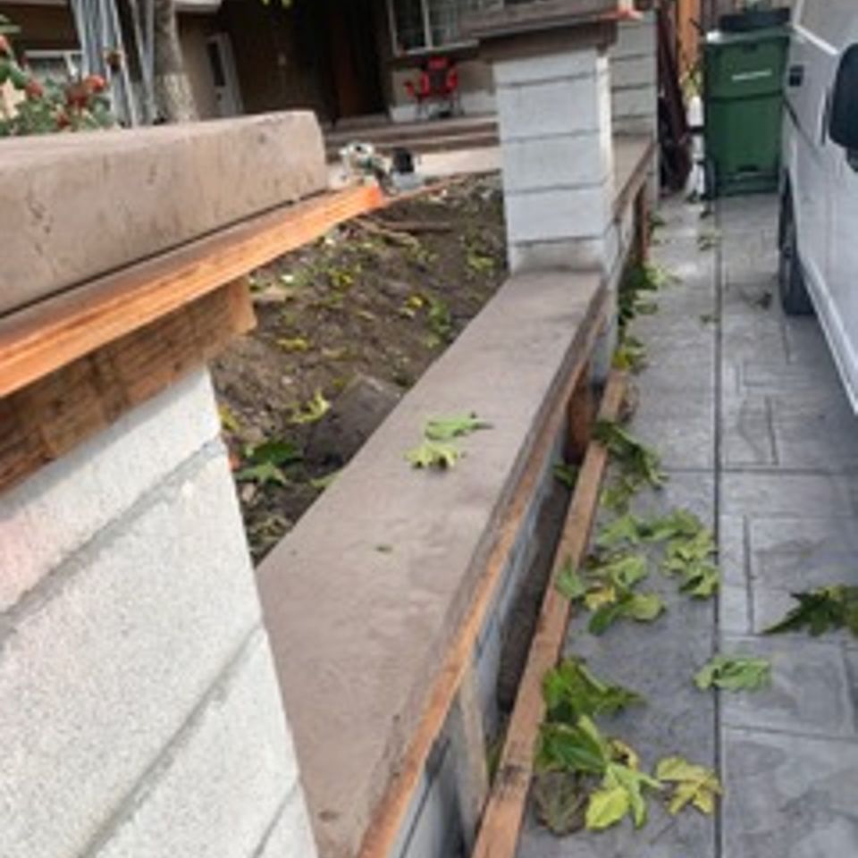 Img 1859