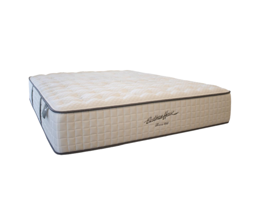 Eastman cynthia tt (2)