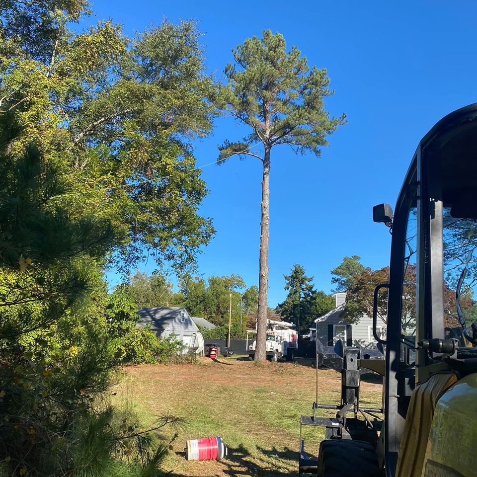 469465770 1491394801523992 6802189569001241731 n