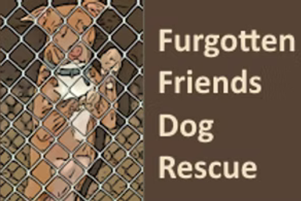 Ffdr og newlogo