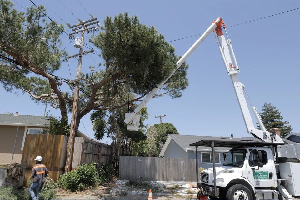 A blessing tree service 2694 action shot 1